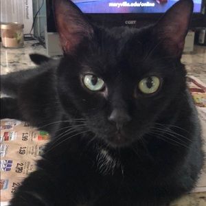 Meet your Posher, Leah